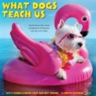 Willow Creek Press - What Dogs Teach Us 2026 12 X 12 Wall Calendar