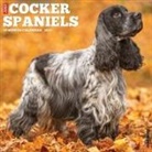 Willow Creek Press - Cocker Spaniels 2026 12 X 12 Wall Calendar
