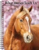Willow Creek Press - What Horses Teach Us 2026 6.5 X 8.5 Engagement Calendar