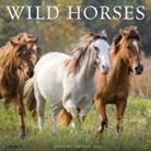 Willow Creek Press - Wild Horses 2026 12 X 12 Wall Calendar