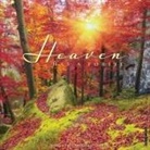 Willow Creek Press - Heaven Has a Forest 2026 12 X 12 Wall Calendar