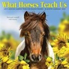 Willow Creek Press - What Horses Teach Us 2026 12 X 12 Wall Calendar