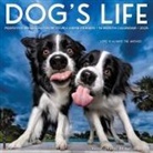 Dog's Life 2026 12 X 12 Wall Calendar