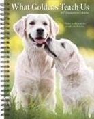 Willow Creek Press - What Goldens Teach Us 2026 6.5 X 8.5 Engagement Calendar
