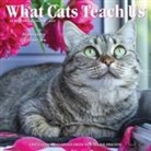 Willow Creek Press - What Cats Teach Us 2026 7 X 7 Mini Wall Calendar