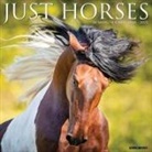 Willow Creek Press - Horses 2026 12 X 12 Wall Calendar