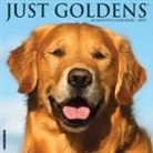 Willow Creek Press - Goldens 2026 12 X 12 Wall Calendar