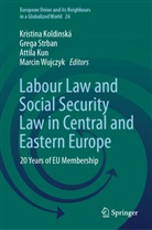Kristina Koldinská, Attila Kun, Attila Kun et al, Grega Strban, Marcin Wujczyk - Labour Law and Social Security Law in Central and Eastern Europe