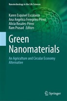 Alicia Rosales Pérez, Ana Angélica Feregrino Pérez, Karen Esquivel Escalante, Ana Angélica Feregrino Pérez, RAM PRASAD, Alicia Rosales Pérez... - Green Nanomaterials