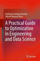 Gilberto Reynos Meza, Gilberto Reynoso Meza, Wellington Rodrigo Monteiro - A Practical Guide to Optimization in Engineering and Data Science