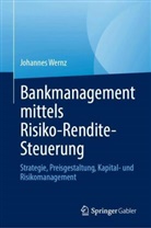 Johannes Wernz - Bankmanagement mittels Risiko-Rendite-Steuerung