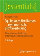 Marcus Hellwig - Equibalancedistribution - asymmetrische Dichteverteilung