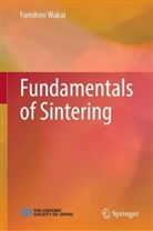 Fumihiro Wakai - Fundamentals of Sintering