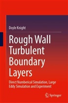 Doyle Knight - Rough Wall Turbulent Boundary Layers