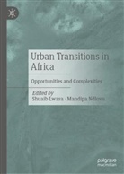Shuaib Lwasa, Ndlovu, Mandipa Ndlovu - Urban Transitions in Africa
