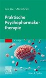 Otto Dietmaier, Gerd Laux - Praktische Psychopharmakotherapie