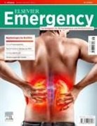 Frank Flake, Jürgen Gollwitzer, Hans-Martin Grusnick, Hans-Martin Grusnick u a, Matthias Klausmeier, Claudia Schwarz - ELSEVIER Emergency. Nephrologische Notfälle. 6/2025: Fachmagazin für Rettungsdienst und Notfallmedizin