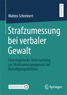 Matteo Schreinert - Strafzumessung bei verbaler Gewalt