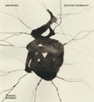 Gormley Antony, Hildyard Daisy, Margaret Iversen, Benjamín Labatut, WJT Mitchell, Jacqueline Rose... - Drawing: Antony Gormley