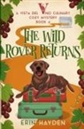 Hayden - The Wild Rover Returns