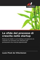 Louis Pinot de Villechenon - Le sfide del processo di crescita nelle startup