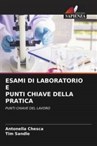 Antonella Chesca, Tim Sandle - ESAMI DI LABORATORIO E PUNTI CHIAVE DELLA PRATICA