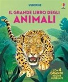 Hazel Maskell, Fabiano Fiorin, Alex Frith - Il grande libro degli animali