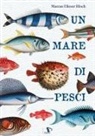 Marcus Elieser Bloch - Un mare di pesci