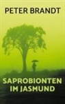 Peter Brandt - Saprobionten im Jasmund