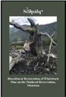 Anne A Carlson, Michael Durglo, Richard G Everett, Tony Incashola, Maureen I McCarthy, Shinaasha H Pete... - Sãiçpálî