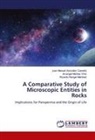 Juan Manuel González Castaño, Arcángel Montes Ortiz, Ricardo Rangel Martínez - A Comparative Study of Microscopic Entities in Rocks
