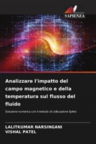 LALITKUMAR NARSINGANI, Vishal Patel - Analizzare l'impatto del campo magnetico e della temperatura sul flusso del fluido