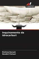 Rishiraj Baruah, Nandini Paliwal - Inquinamento da idrocarburi