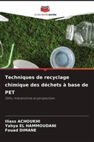 Iliass ACHOUKHI, Fouad Dimane, Yahya El Hammoudani - Techniques de recyclage chimique des déchets à base de PET