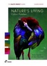 Lauren Wager - Nature's Living Colour Palettes