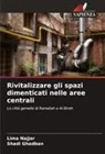 Shadi Ghadban, Lima Najjar - Rivitalizzare gli spazi dimenticati nelle aree centrali