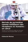 Fattouche Maroua - Dérivés de pyrimidine comme inhibiteurs des récepteurs s1 humains : un calcul