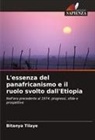 Bitanya Tilaye - L'essenza del panafricanismo e il ruolo svolto dall'Etiopia