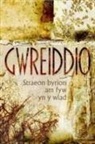 Various - Gwreiddio