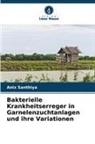 Anix Santhiya - Bakterielle Krankheitserreger in Garnelenzuchtanlagen und ihre Variationen
