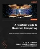 Elías F. Combarro, Samuel González-Castillo - A Practical Guide to Quantum Computing