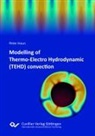 Peter Haun - Modelling of Thermo-Electro Hydrodynamic (TEHD) convection