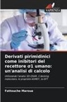 Fattouche Maroua - Derivati pirimidinici come inibitori del recettore ¿1 umano: un'analisi di calcolo