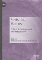 Caputi, Mary Caputi, Amirhosein Khandizaji - Revisiting Marcuse