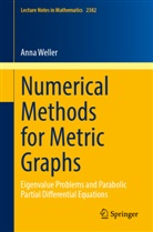 Anna Weller - Numerical Methods for Metric Graphs