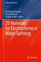 Shagun Kainth, Om Prakash Pandey, Piyush Sharma - 2D Materials for Electrochemical Water Splitting