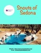 Rebecca Robbins - Snouts of Sedona