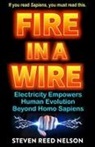 Steven Reed Nelson - Fire in a Wire
