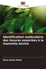 Elsie Uduak Mbuk - Identification moléculaire des levures associées à la mammite bovine