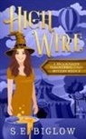 S. E. Biglow - High Wire